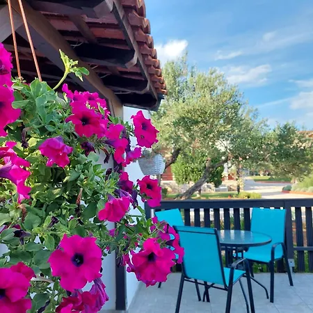 Campsite Julija Mobile Vodice